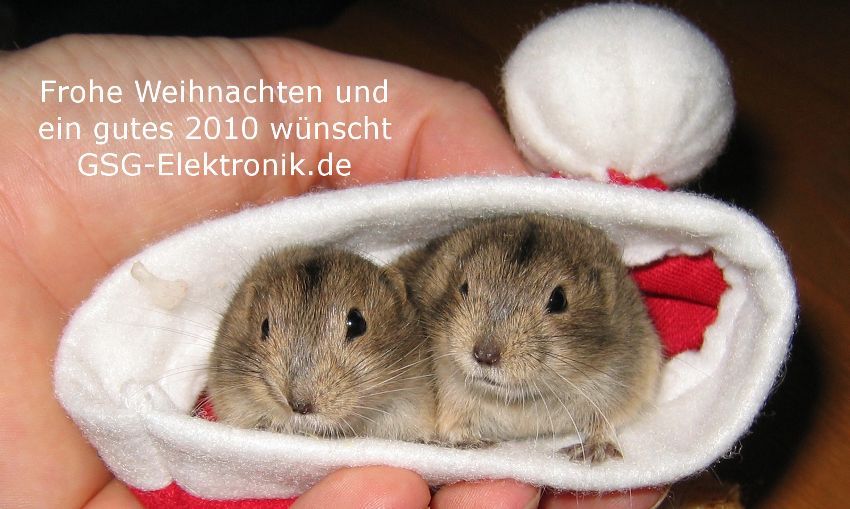 Weihnachtsgrüße